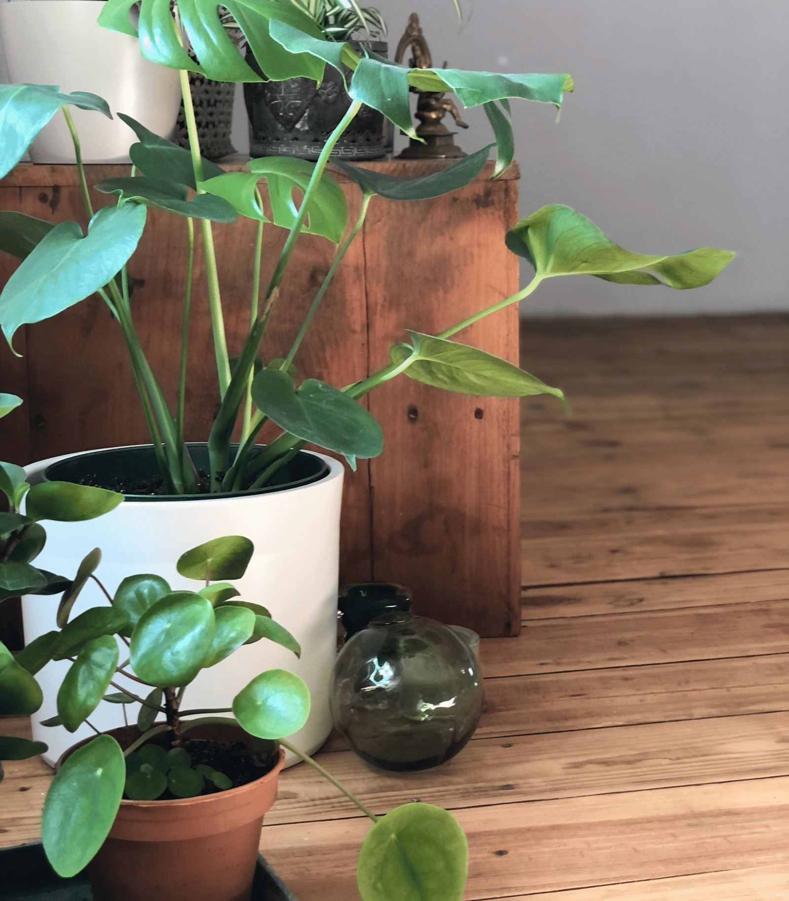 Studio illustrasjonsbilde